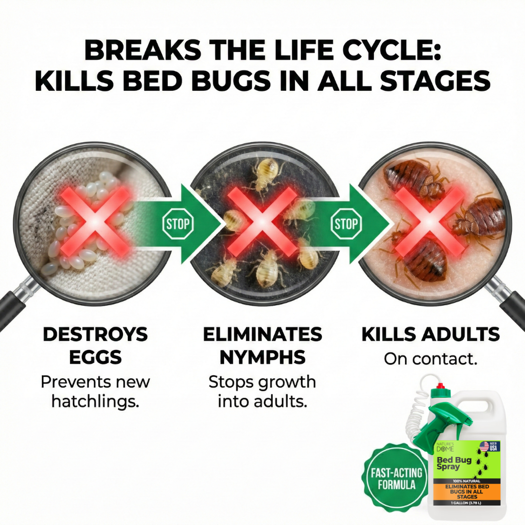 Nature’s Dome Bed Bug & Mite Killer – 1 Gallon