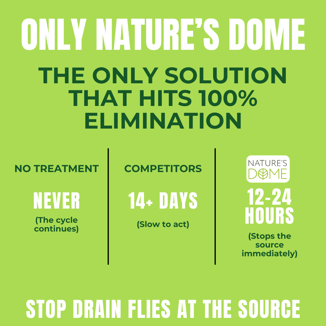 Nature’s Dome Drain Fly Killer Gel – 32 oz