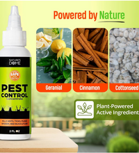 Nature's Dome Indoor Bug Spray 2 Pack – Natural Pet & Kid-Safe Pest Control Concentrate with Essential Oils – Roach, Spider, Flea, Mosquito & Ant Killer – Safe for Home & Outdoor Use, 2 oz Each