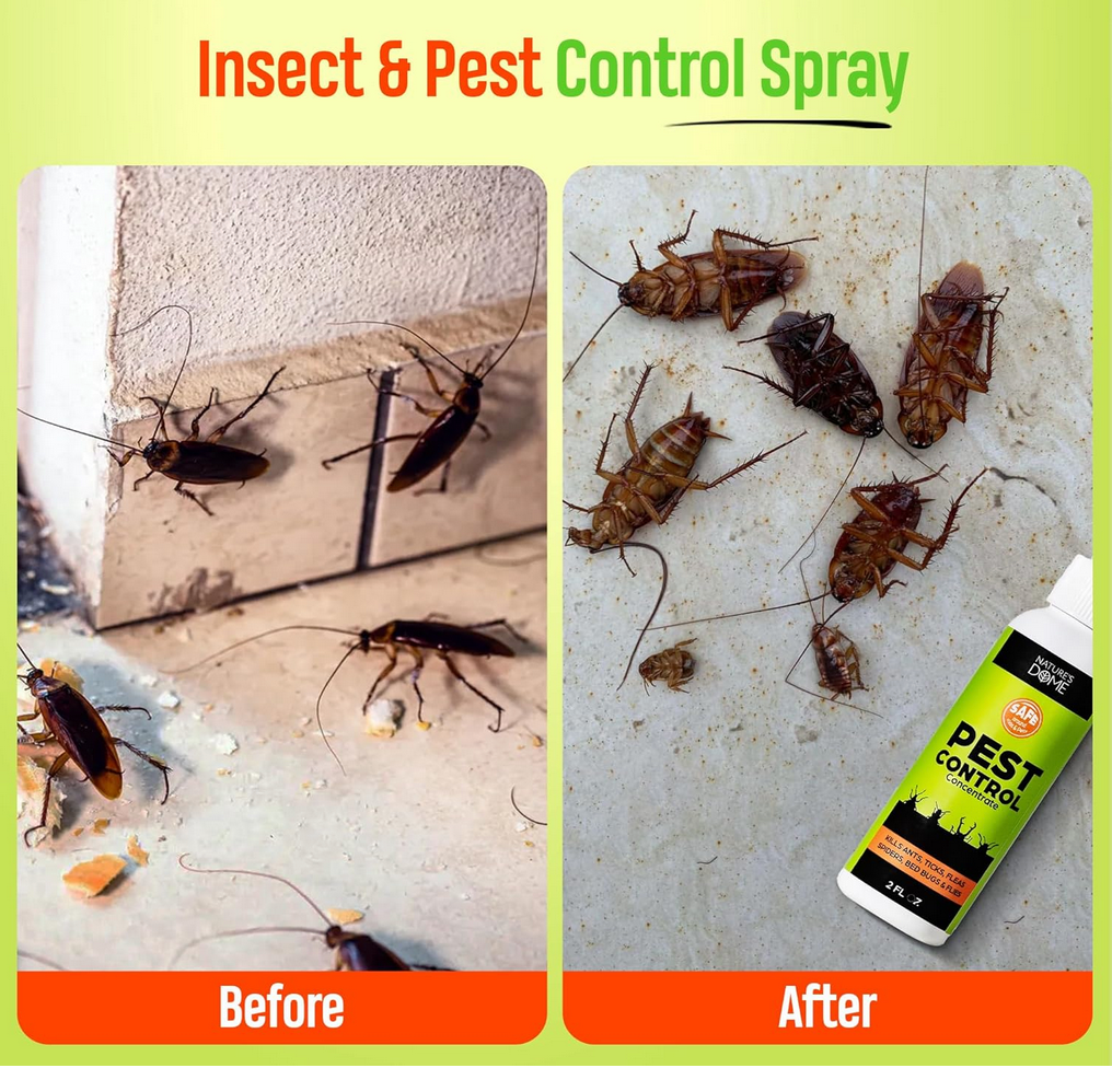 Nature's Dome Indoor Bug Spray 2 Pack – Natural Pet & Kid-Safe Pest Control Concentrate with Essential Oils – Roach, Spider, Flea, Mosquito & Ant Killer – Safe for Home & Outdoor Use, 2 oz Each