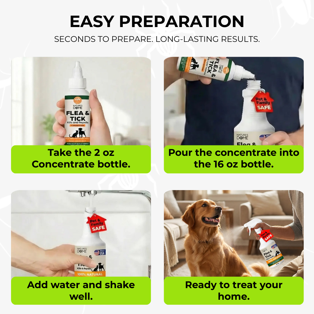 Nature's Dome Flea & Ticks Starter Kit- Makes 3 Bottles (1 concentrate makes 16 oz Each)