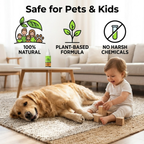 Nature’s Dome Pest Control Starter Kit – Makes 3 Bottles (1 concentrate makes 16 oz Each)
