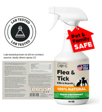 Nature’s Dome Peppermint Flea & Tick Spray – 16 oz – Kills & Repels Fleas, Ticks, Larvae & Eggs – Plant-Based Pest Control – Safe for Pets, Kids & Plants – Ready-to-Use