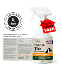 Nature’s Dome Outdoor Flea & Tick Spray – 16 oz – Kills & Repels Fleas, Ticks, Larvae & Eggs – Plant-Based Pest Control – Safe for Pets, Kids & Plants – Ready-to-User