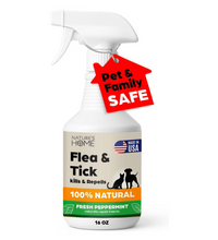 Nature’s Home Peppermint Flea & Tick Spray – 16 oz – Kills & Repels Fleas, Ticks, Larvae & Eggs – Plant-Based Pest Control – Safe for Pets, Kids & Plants – Ready-to-Use