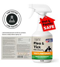 Nature’s Home Peppermint Flea & Tick Spray – 16 oz – Kills & Repels Fleas, Ticks, Larvae & Eggs – Plant-Based Pest Control – Safe for Pets, Kids & Plants – Ready-to-Use