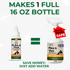 Nature's Dome Flea & Tick Control Concentrate 2 oz – Makes 16 oz