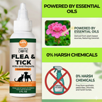 Nature's Dome Flea & Tick Control Concentrate 2 oz – Makes 16 oz