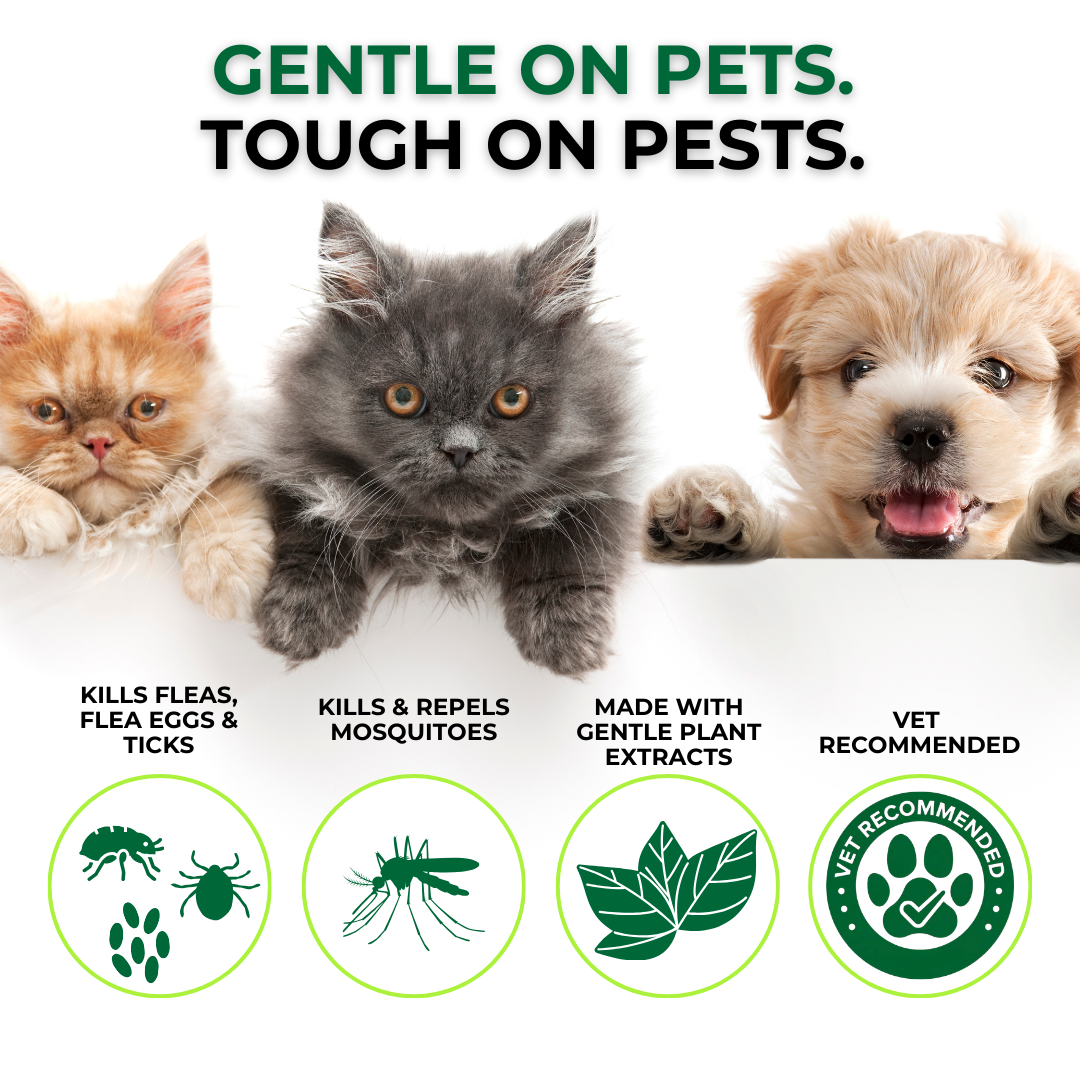 Nature’s Dome Flea & Tick Spray – 16 oz