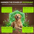 Nature’s Home Flea & Tick Spray Peppermint – 16 oz
