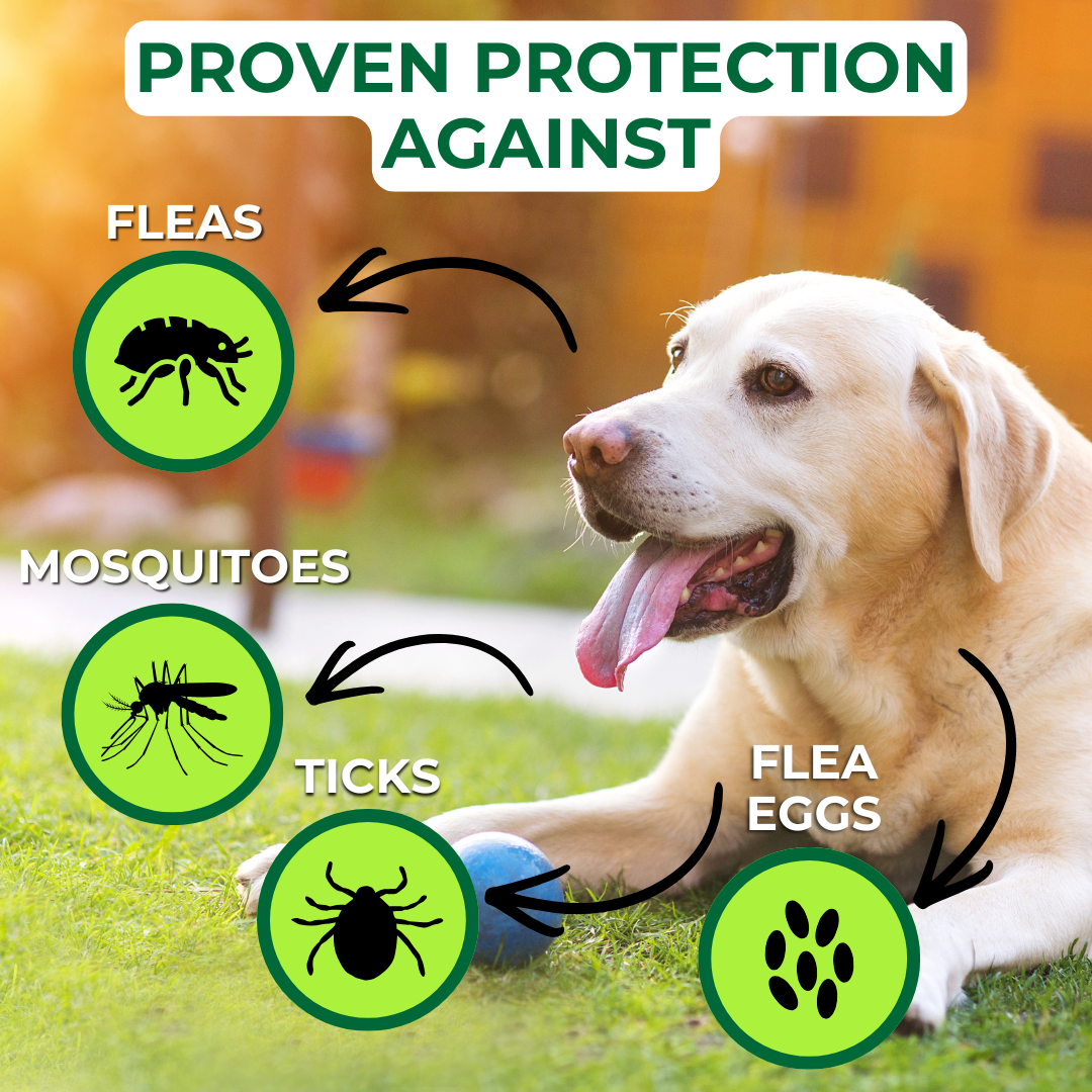 Nature’s Dome Flea & Tick Spray Peppermint – 16 oz